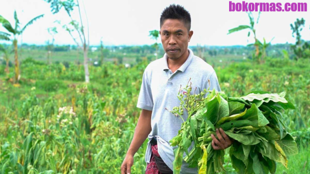 Industri Rokok Dorong Teknologi Pertanian Modern Untuk Tingkatkan Hasil Panen