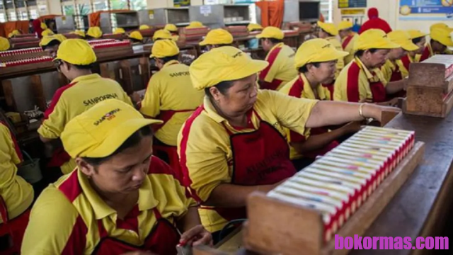 Industri Rokok Sumbang Pajak Terbesar Di Indonesia Hingga Capai Rp200 Triliun Setahun