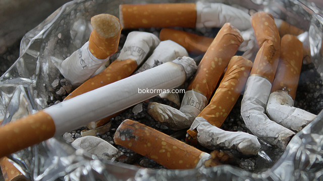 Membedah Perbedaan Rokok Filter dan Non-Filter Rasa, Kandungan, dan Persepsi Pasar