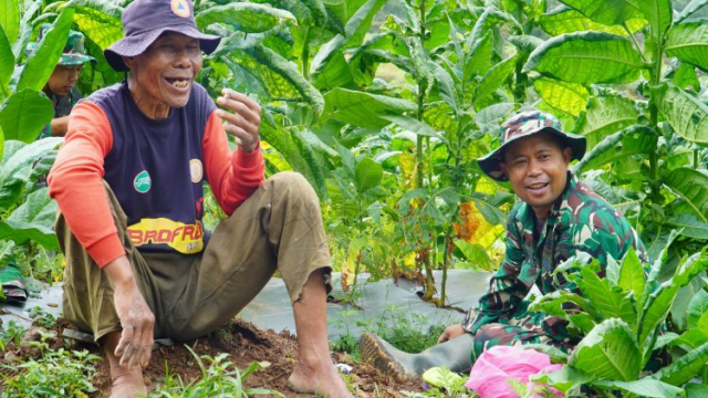 Pemberdayaan Petani Tembakau untuk Menjaga Tradisi Nusantara dan Kualitas Hidup